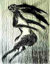 Cobb Nutt - Charcoal on Fabriano watercolour paper  - 30 inches x 20 inches
