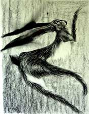 Keenas Mustard - Charcoal on Fabriano watercolour paper  - 30 inches x 20 inches