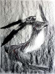 Barley Mo - Charcoal on Arches paper - 30 inches x 20 inches