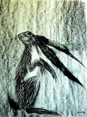 Miss Pocket - Charcoal on Arches paper - 30 inches x 20 inches