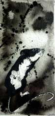 SPITT - ink & charcoal image size 8 inches x 12 inches